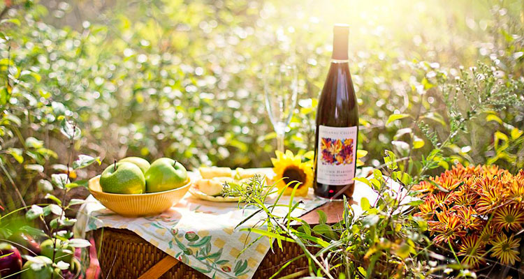 Canasta de picnic con alimentos en el parque