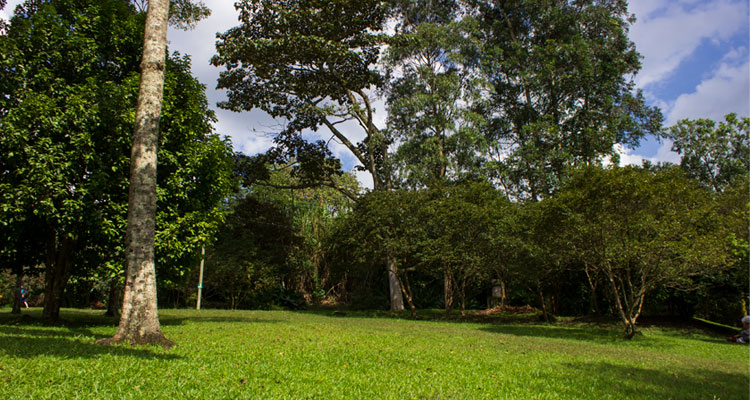 paisaje con zona verde y manga en el salado