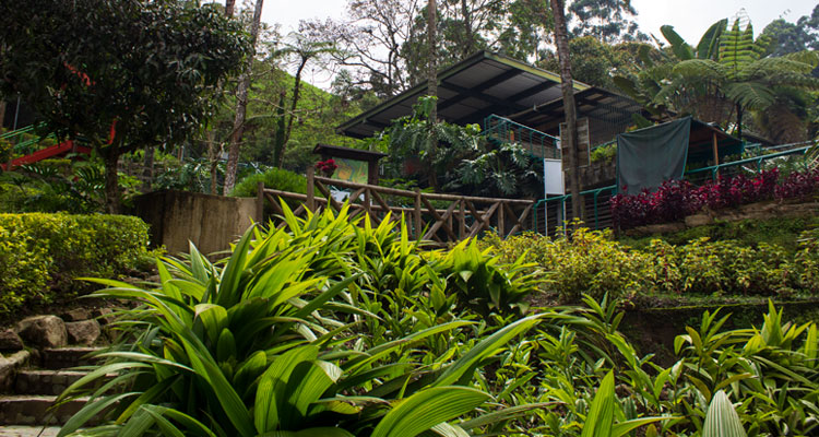 hermosa vista del parque el salado