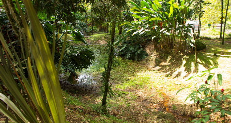 pantano del parque el salado