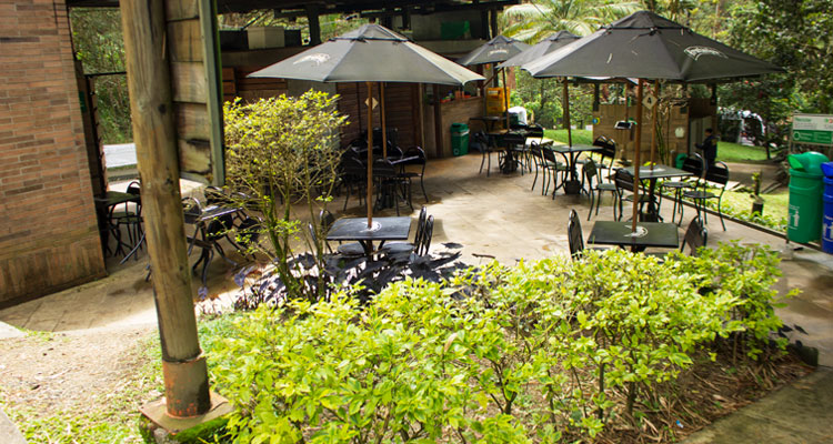 sillas con sombrilla del restaurante del parque el salado