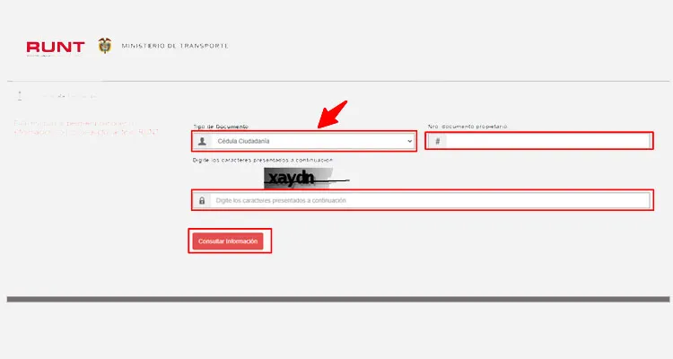 Formulario consulta personas del runt