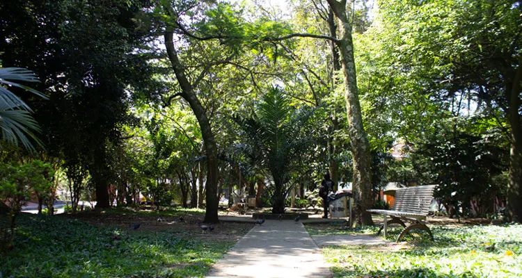 interior del parque de san marcos
