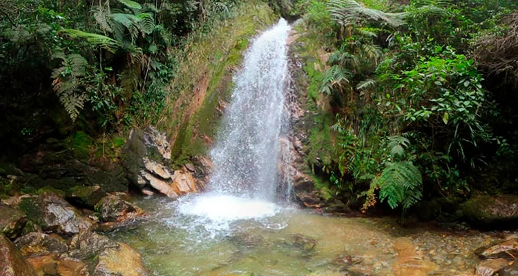 Cascada El Silencio en Arenales Emvigado
