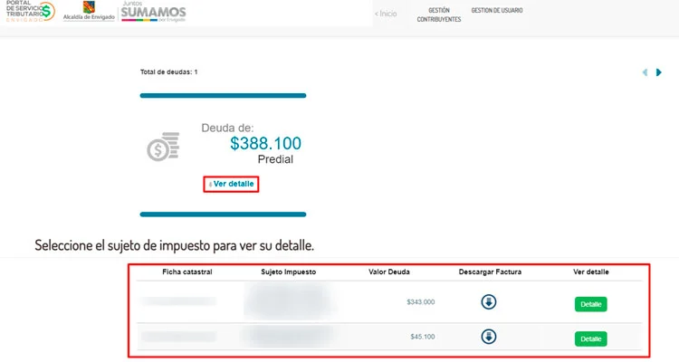 Detalles de deudas de impuestos en envigado