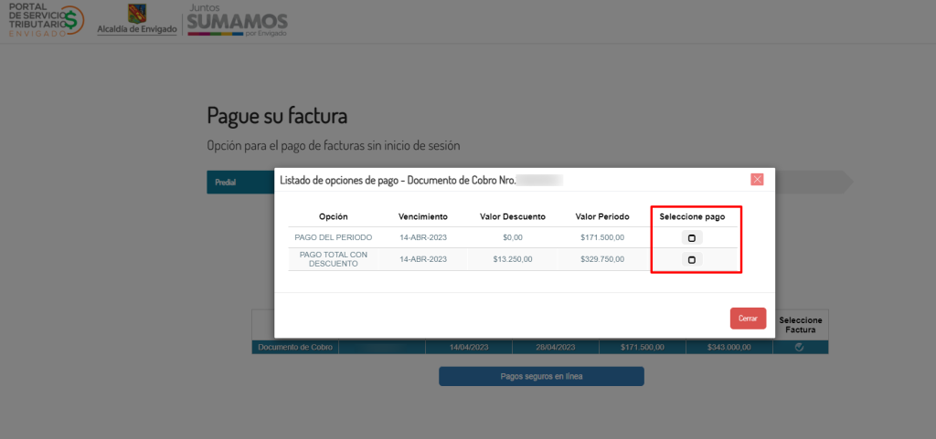 Escoger el tipo de pago