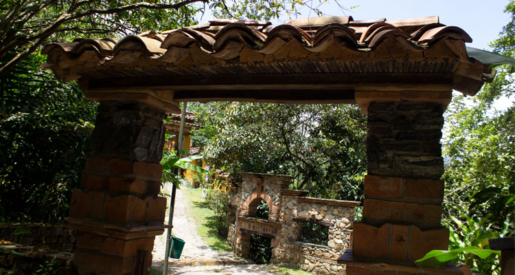 Puente del parque La Guayacana