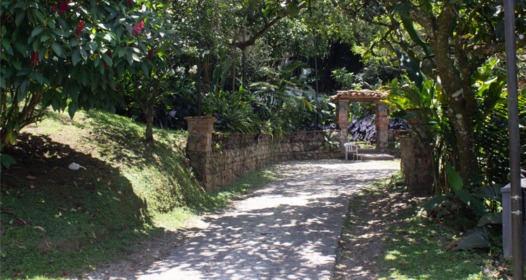 Sendero verde del parque La Guayacana