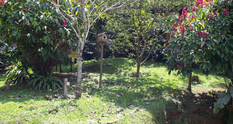 mangas del parque la guayacana