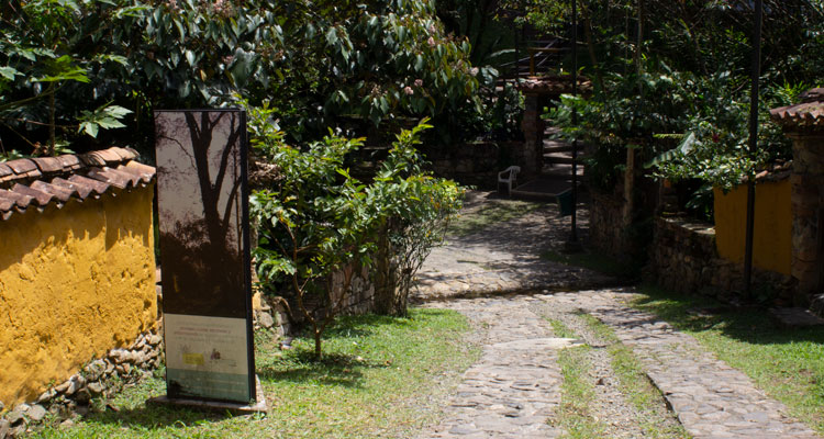 sendero y camino parque la guayacana