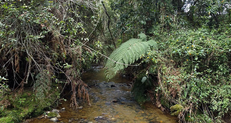 Reserva en Charcoazul aguamarina