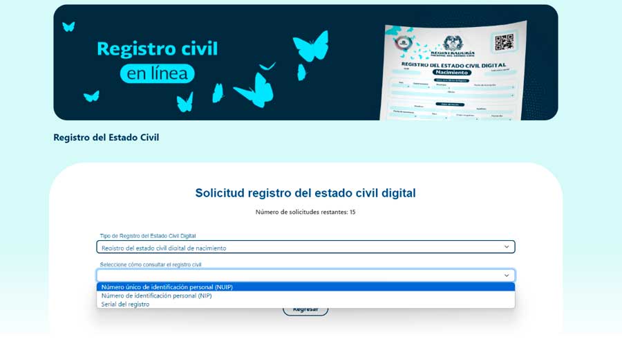 Eleccion de la forma de consulta