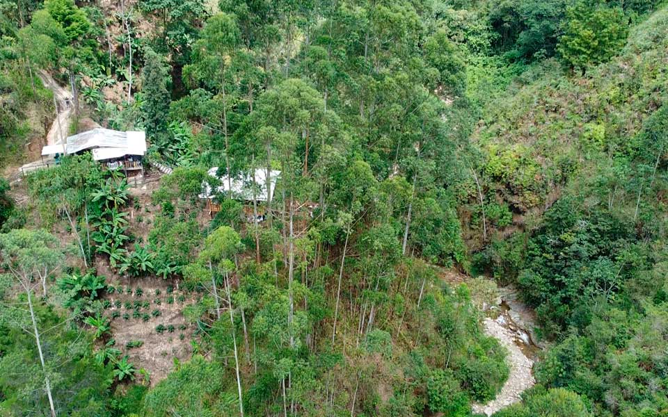Vista aerea del cafe zazue
