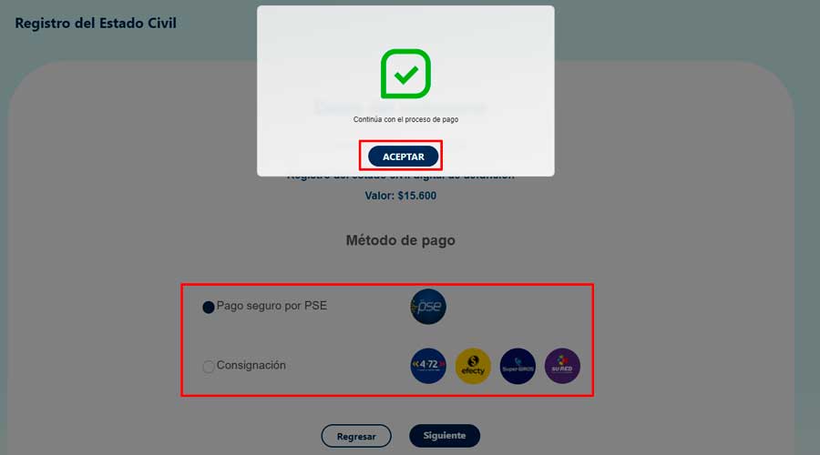 continuar-con-el-proceso-de-pago