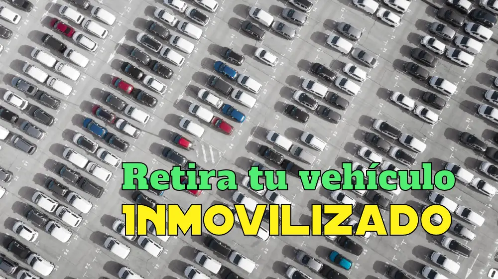 Gran Parqueadero de Autos